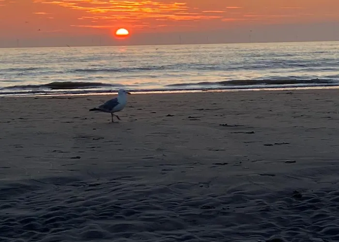 Es Vedra Bed&beach Vakantiehuis