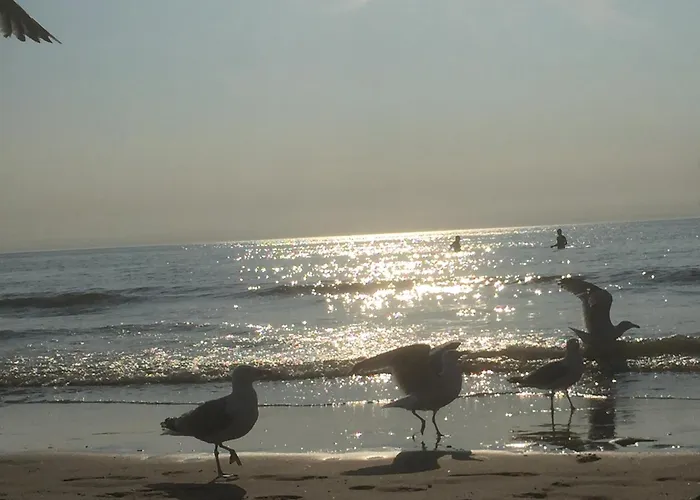 Es Vedra Bed&beach Vakantiehuis *