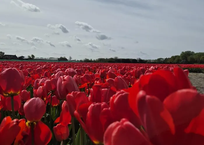 Es Vedra Bed&beach *