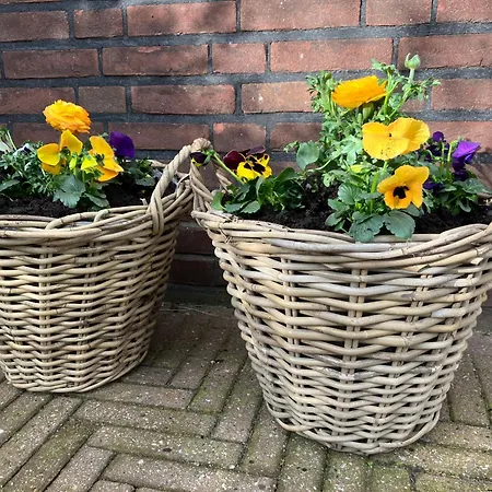 度假居 Es Vedra *